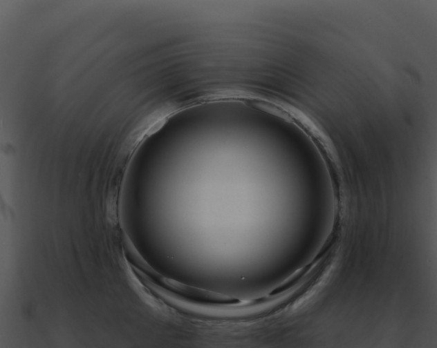 X0000091000905200708021558