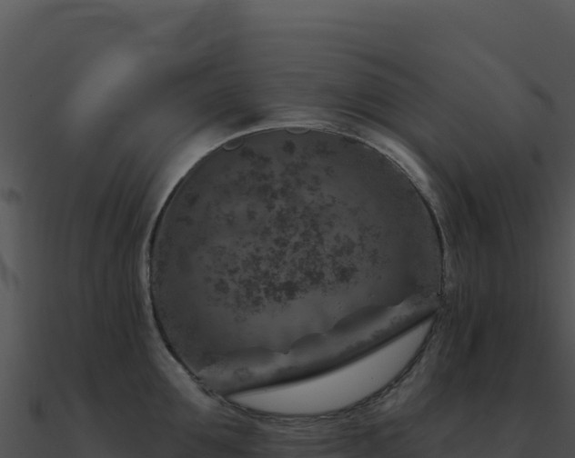 X0000091000907200708021558