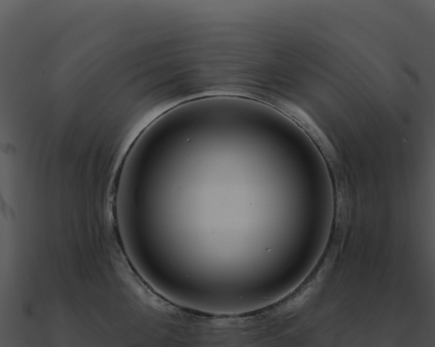 X0000091000908200708021558