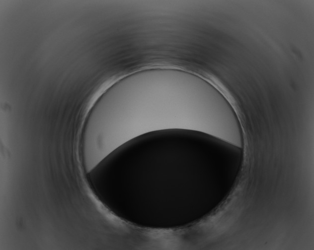 X0000091000909200708021558