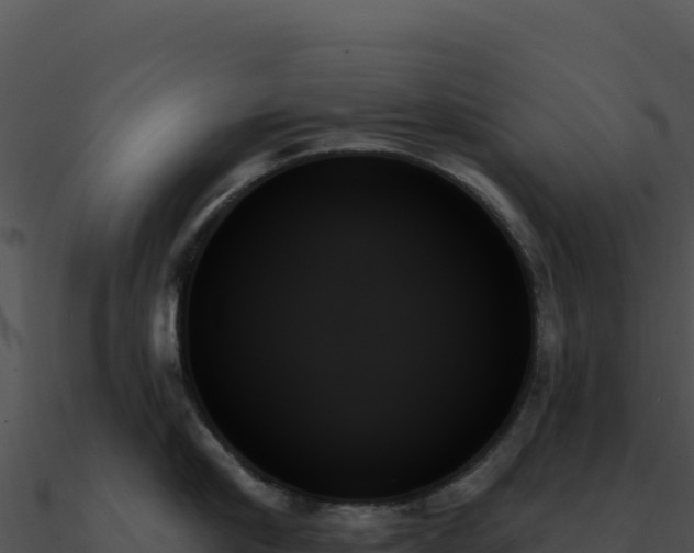 X0000091000910200708021558