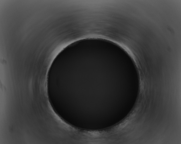X0000091000911200708021558