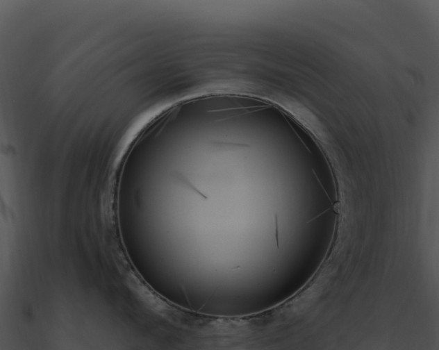 X0000091000912200708021558