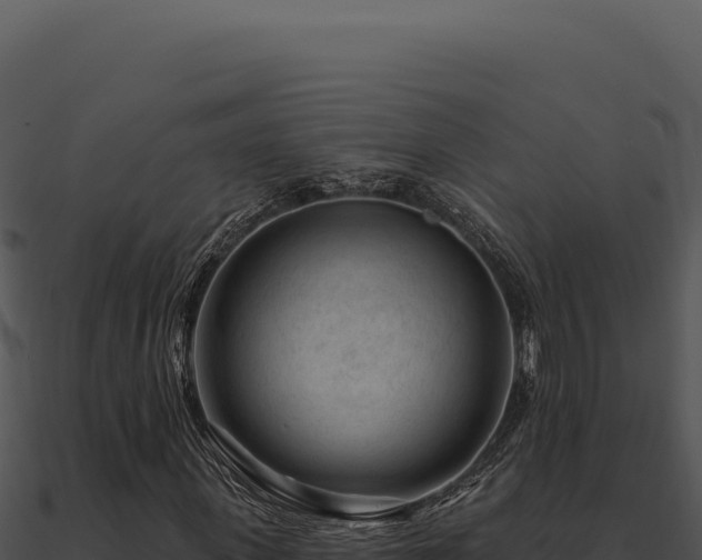 X0000091000915200708021557