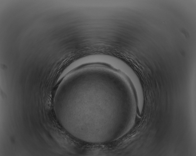 X0000091000916200708021557