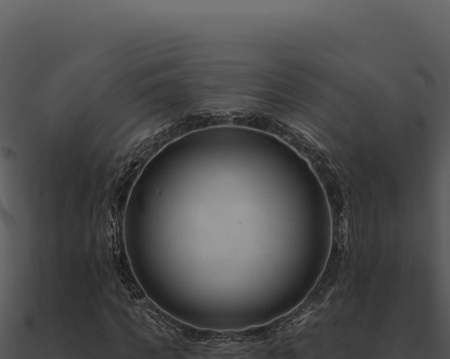 X0000091000917200708021557