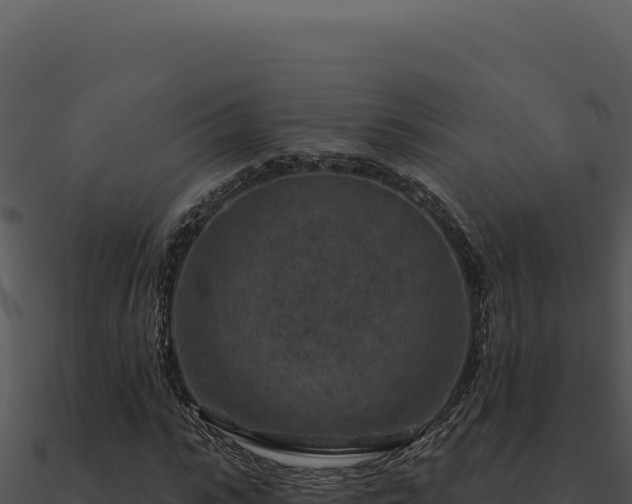 X0000091000919200708021557