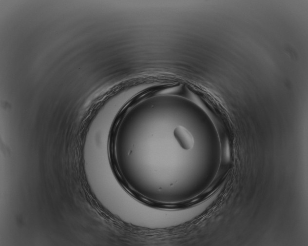 X0000091000920200708021557