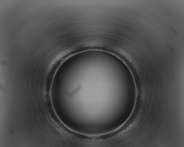 X0000091000922200708021557