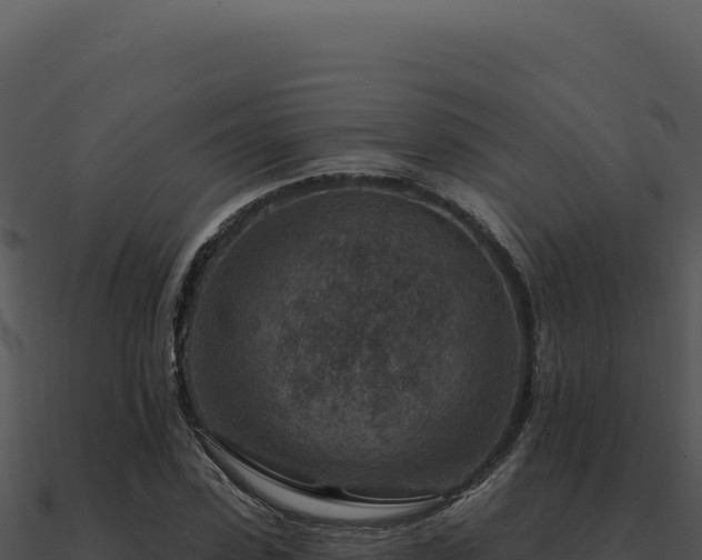 X0000091000923200708021557