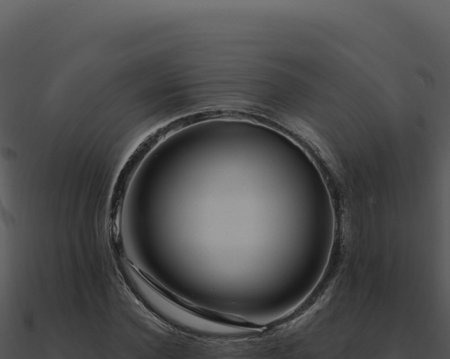 X0000091000924200708021557