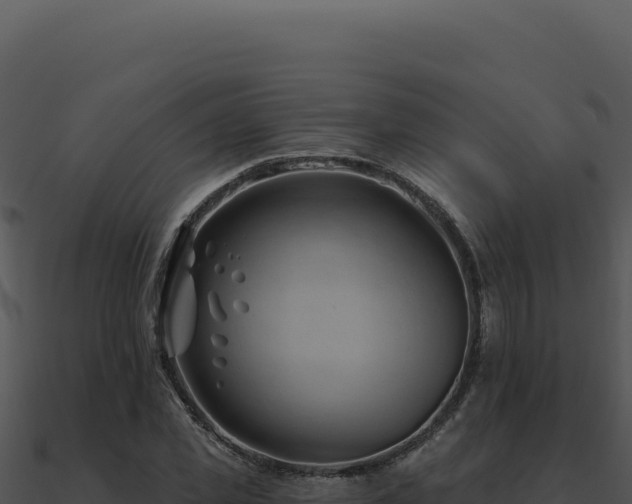 X0000091000925200708021557