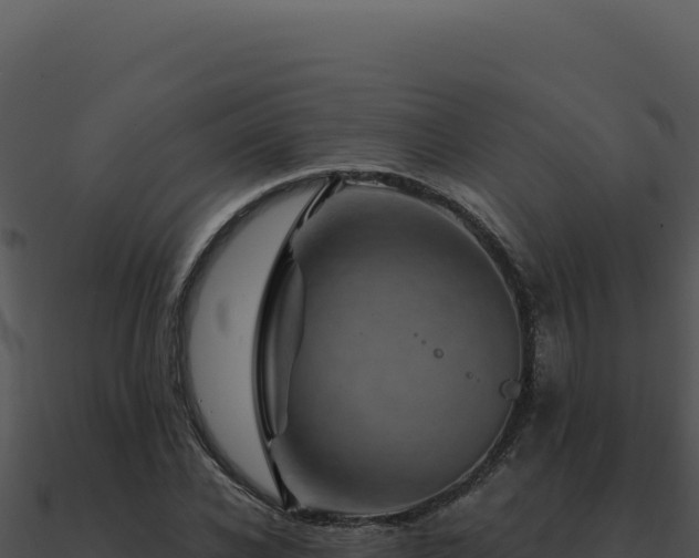 X0000091000926200708021557