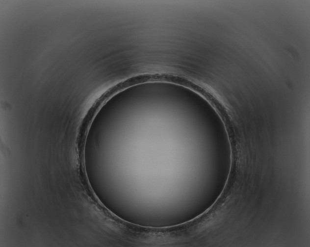 X0000091000927200708021557