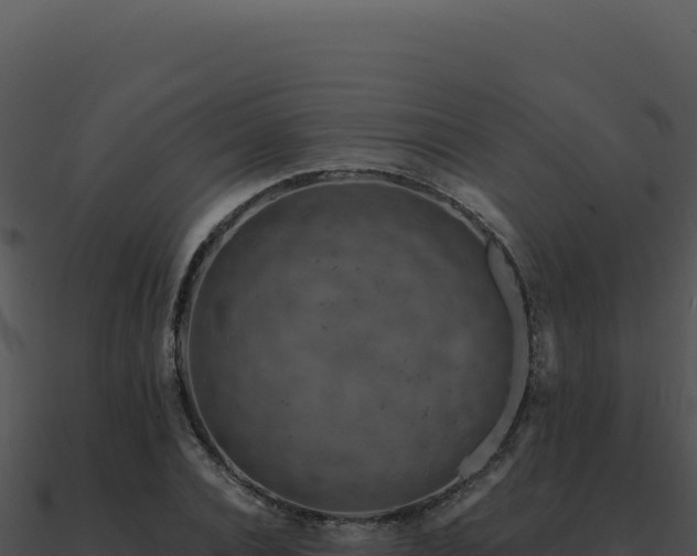 X0000091000928200708021557