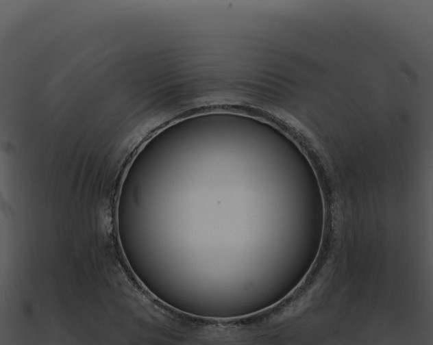 X0000091000929200708021557