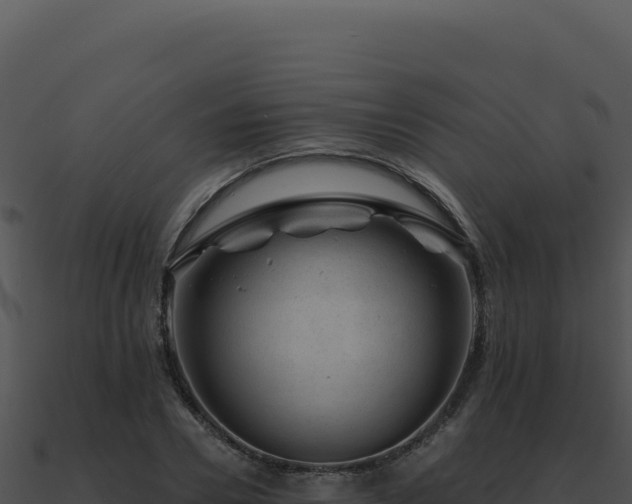 X0000091000930200708021557