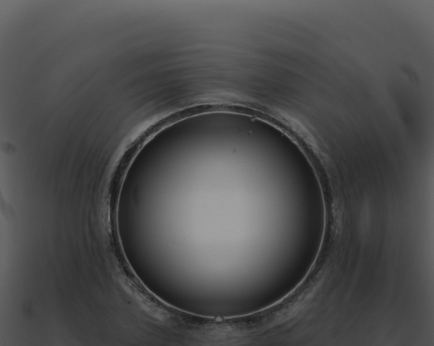 X0000091000931200708021557