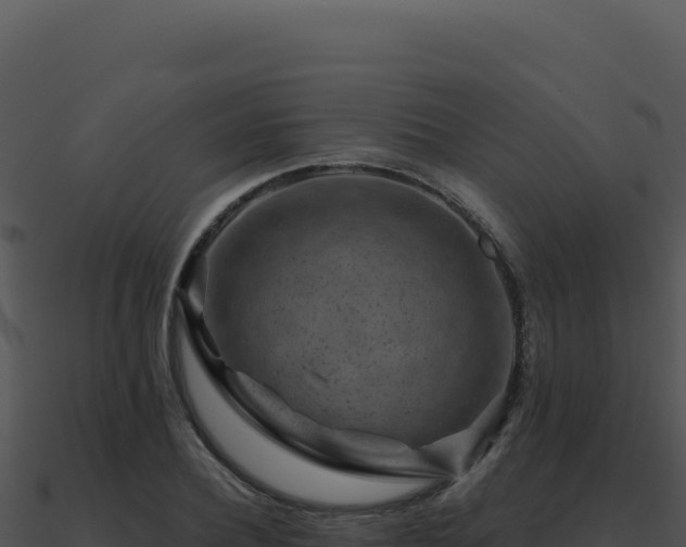 X0000091000932200708021557
