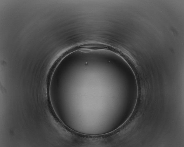 X0000091000934200708021557