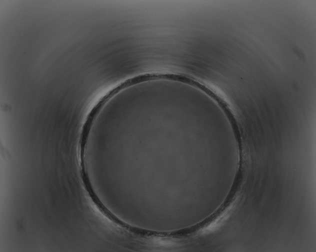 X0000091000935200708021557