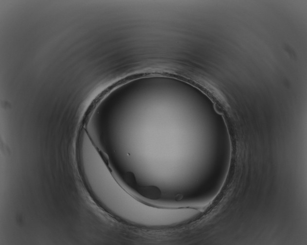 X0000091000936200708021557