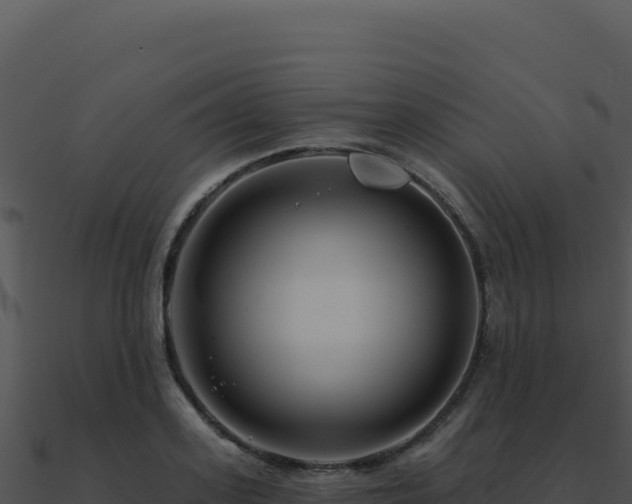 X0000091000939200708021557