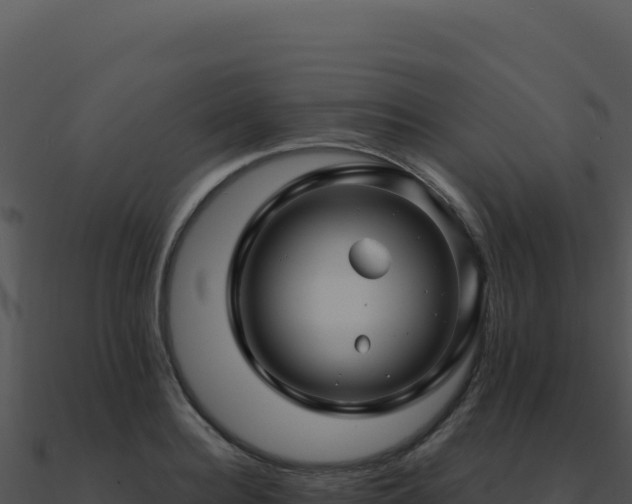 X0000091000940200708021557