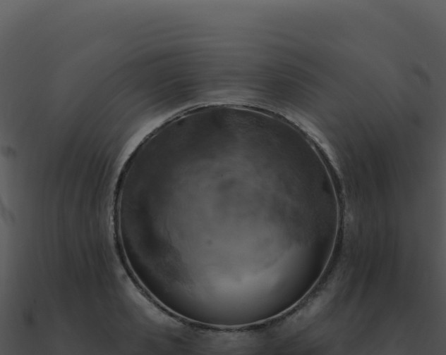 X0000091000941200708021557