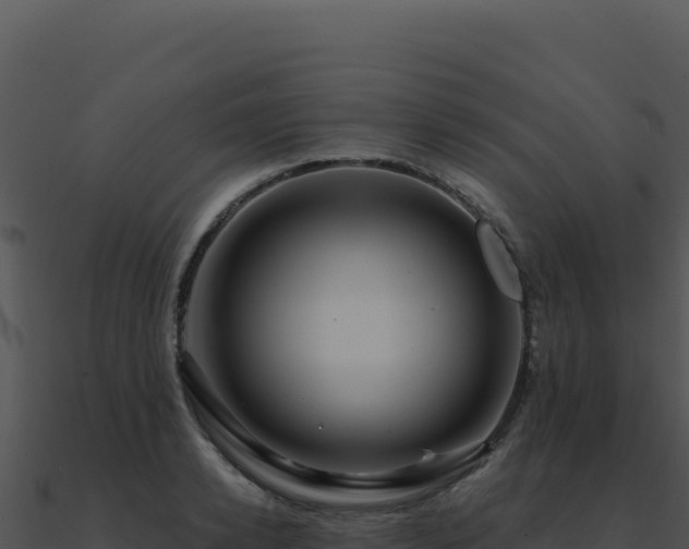 X0000091000942200708021557