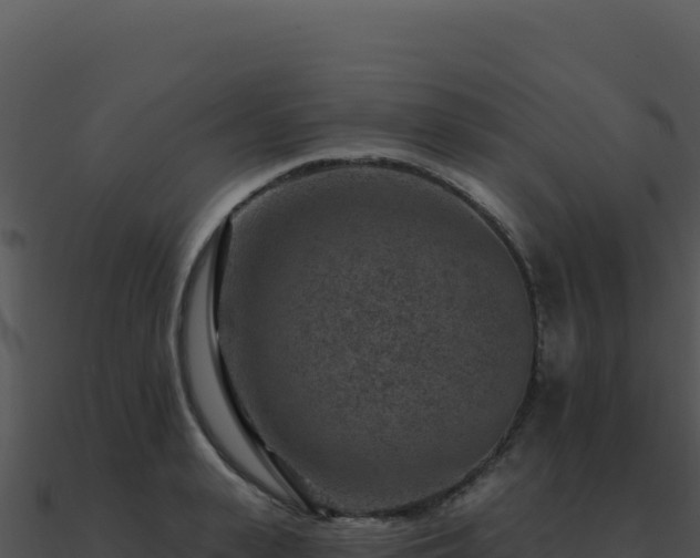 X0000091000943200708021557