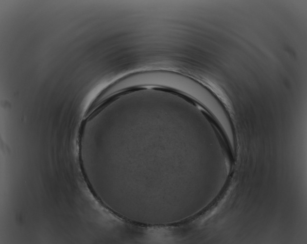 X0000091000944200708021557
