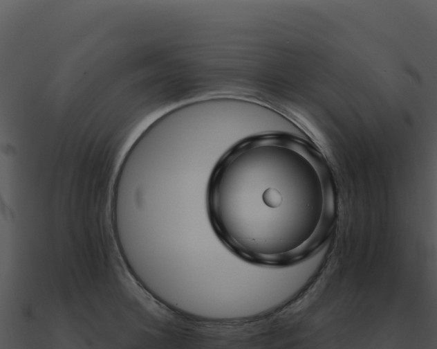 X0000091000948200708021557