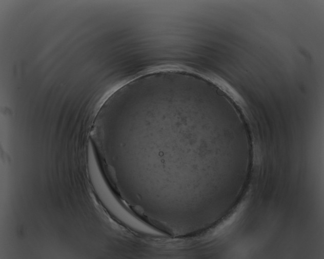 X0000091000953200708021557