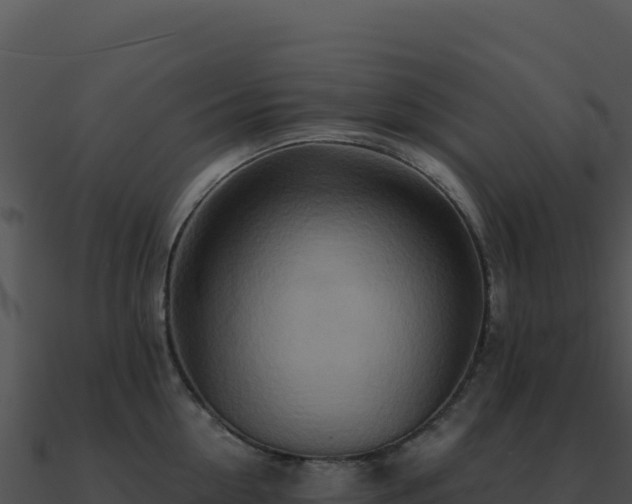X0000091000954200708021557