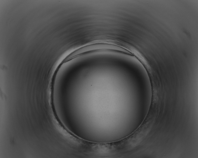 X0000091000955200708021557