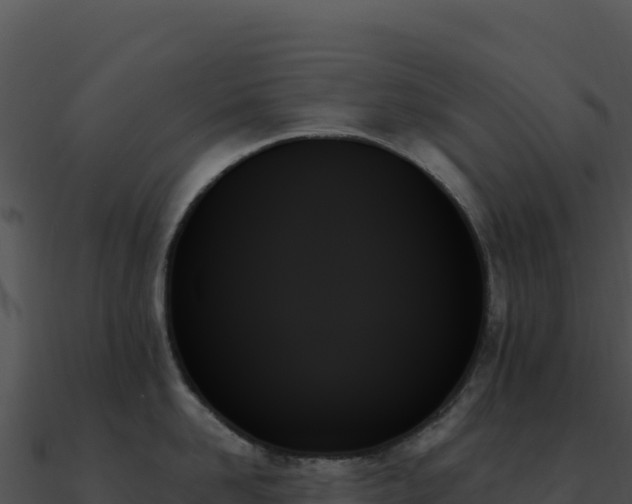 X0000091000958200708021558
