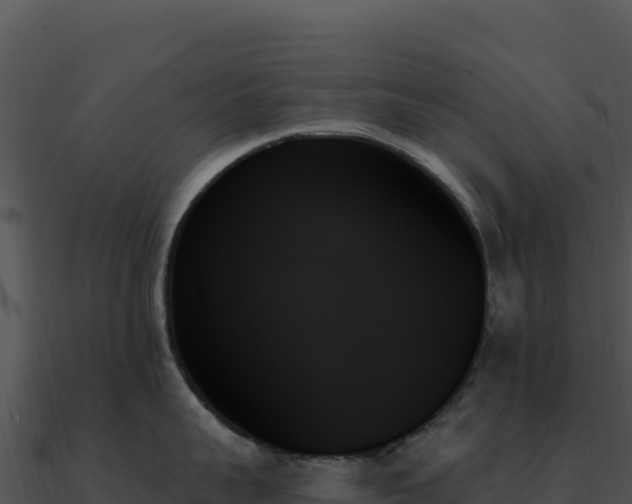 X0000091000959200708021558