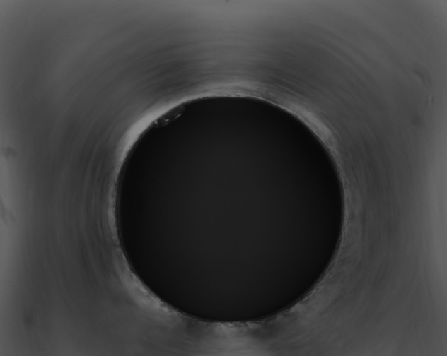 X0000091000960200708021558