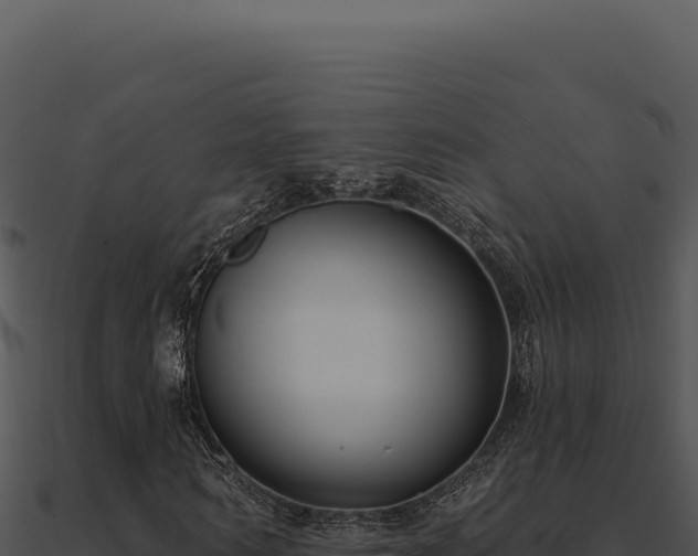 X0000091000962200708021557
