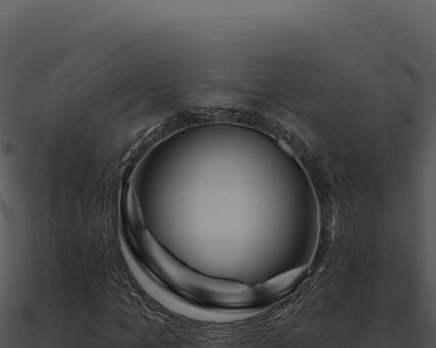 X0000091000965200708021557