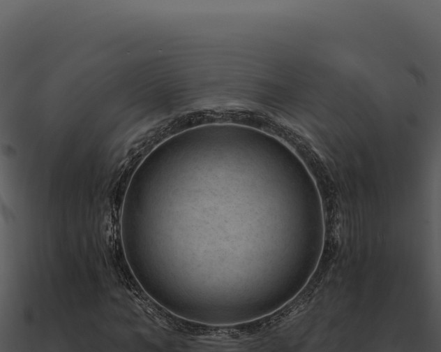 X0000091000966200708021557