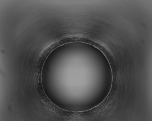 X0000091000967200708021557