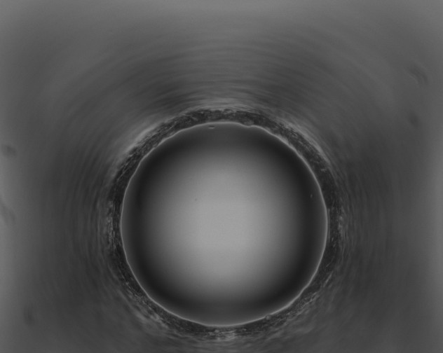 X0000091000968200708021557