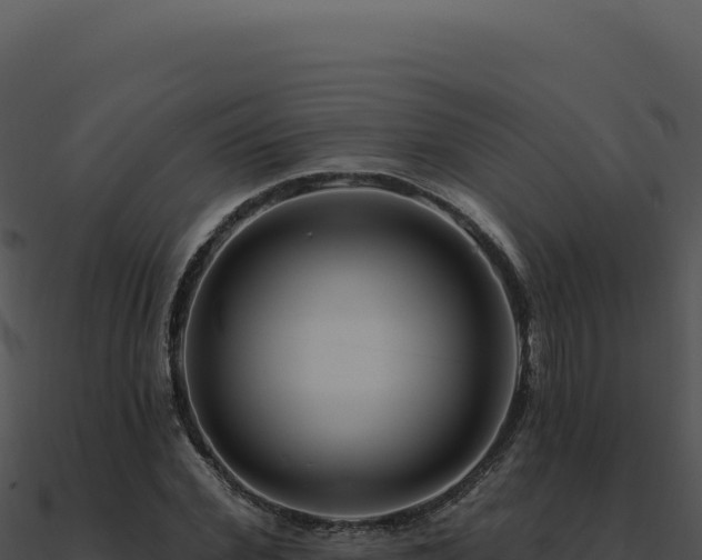 X0000091000972200708021557