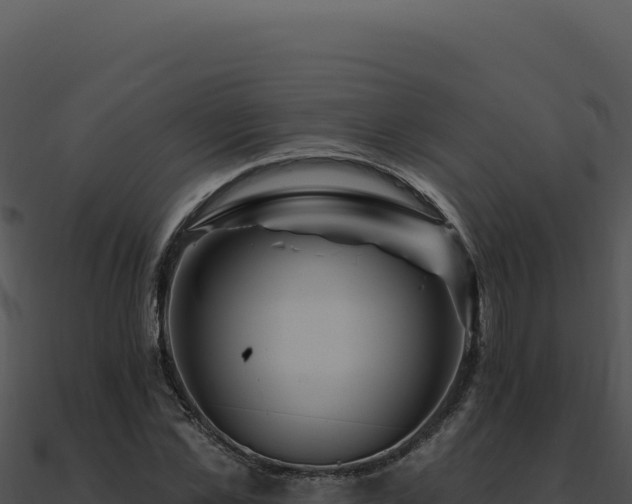 X0000091000973200708021557