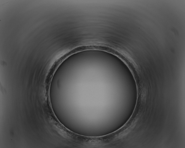 X0000091000974200708021557