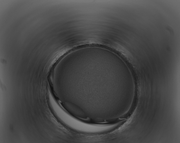 X0000091000977200708021557