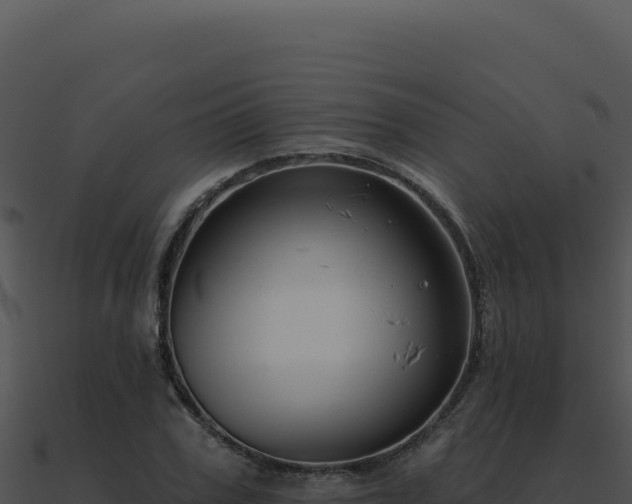 X0000091000979200708021557