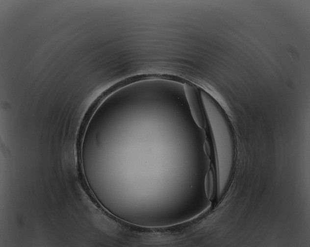 X0000091000980200708021557